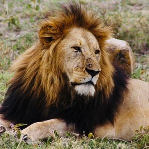 Meet your Posher, Akyla